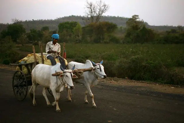 संग्रहित छायाचित्र