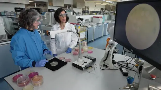 મેકઅપની કિટ કેવી રીતે સાફ રાખવી, મેકઅપ કેવી રીતે કરવો, મેકઅપમાં કેવા પ્રકારના બૅક્ટેરિયા અને ફંગસ હોય શકે છે, સૌંદર્ય પ્રસાધનો, ફેશન બ્યૂટી ટીપ્સ, બીબીસી ગુજરાતી