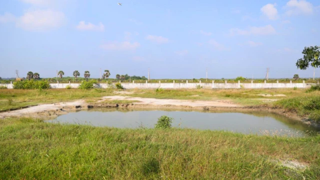 චෙම්මනි සමූහ මිනී වළ