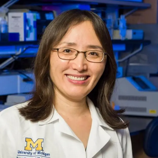 डॉक्टर हिमो बोरहिईन, अमेरिका की मिशिगन यूनिवर्सिटी में मॉलीकुलर ऐंड इंटेरोगेटिव फिज़ियोलॉजी और न्यूरोलॉजी विभाग में एसोसिएट प्रोफ़ेसर