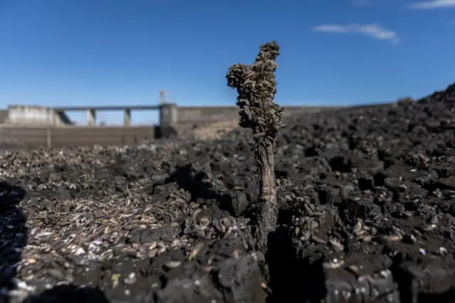 Onde antes havia água doce reservada para contribuir com o abastecimento quando o fluxo do rio Santa Lucía não era suficiente, agora há terra seca e rachada