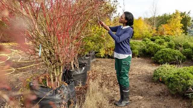 Una mujer toca las hojas de una planta, en una zona con vegetación de otoño.