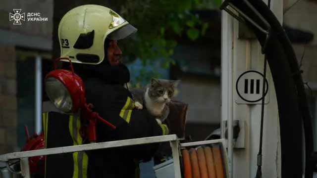 Пожарный с кошкой