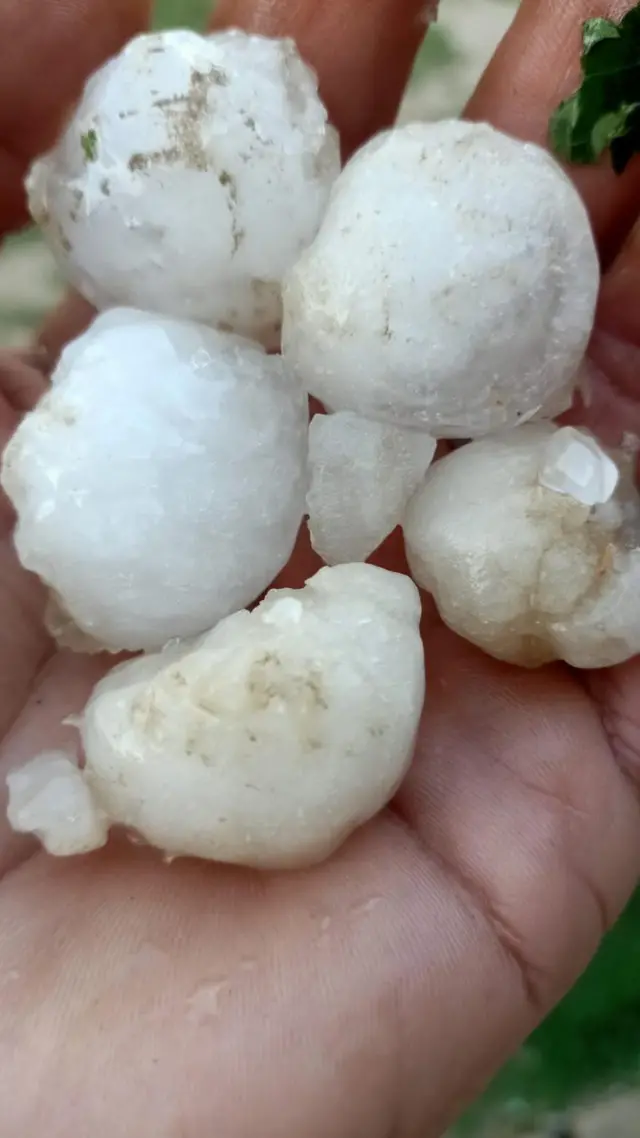 ژالہ باری