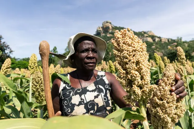 Lammiileen Afrikaa miiliyoona hedduun lakkaa'aman bisingaa qotanii jiraatu