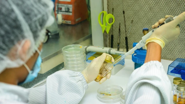 కల్తీ నెయ్యి, తిరుమల ప్రసాదం, ఫుడ్ సేఫ్టీ