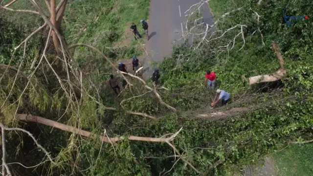 Les forces de la gendarmerie française dégagent une route après le passage du cyclone Chido, à Mayotte, en France, sur cette photo diffusée le 16 décembre 2024 (Gendarmerie nationale).