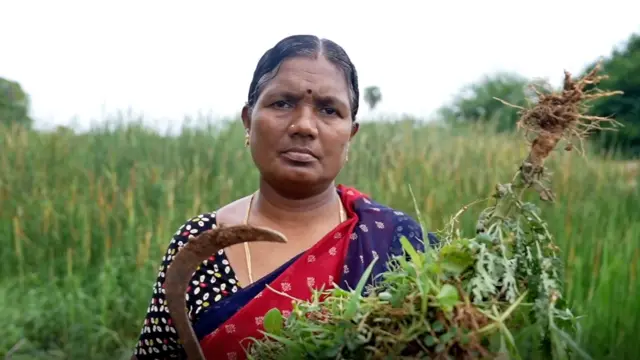 अपने खेत में काम करने गई शम्बाला देवी 