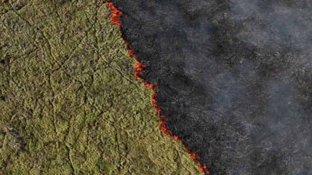 Imagem feita a partir de um drone. Do lado esquerdo, o verde da vegetação, no meio, as chamas do fogo e, do lado direito, as cinzas por onde o fogo já passou