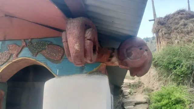 भेडाको आकृति