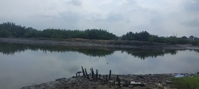 A river bank for Port Harcourt