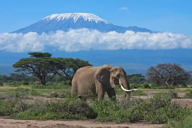 Kilimanjaro ni wo musozi usumba iyindi muri Afurika, uri mu majyaruguru ya Tanzania