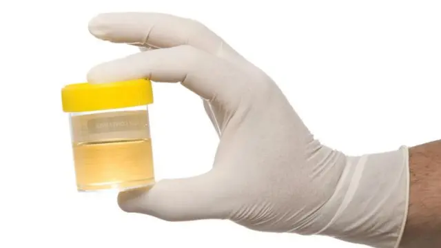 حمل کی تصدیق