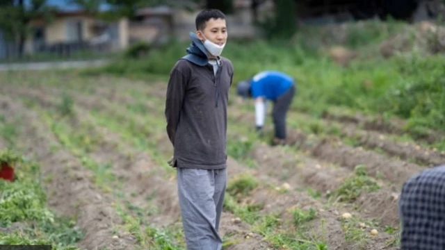  پارک تائی ہانگ