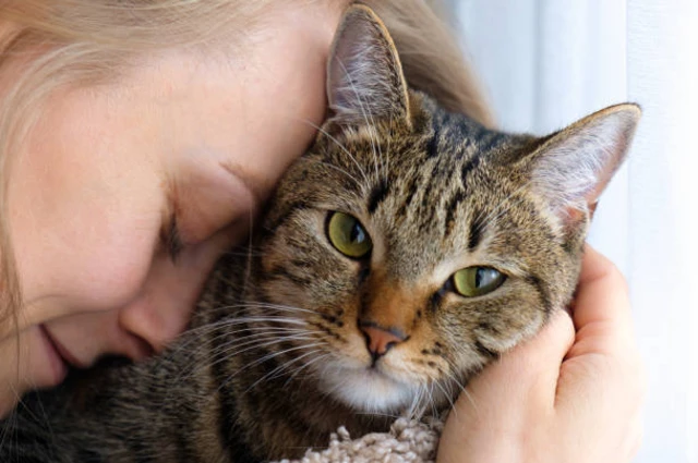 รูปผู้หญิงหอมแมวสลิด