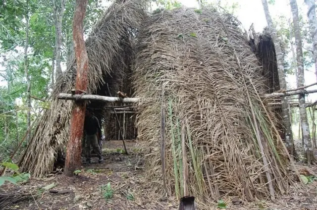 மாசகோ பழங்குடி, அமேசான், பிரேசில்