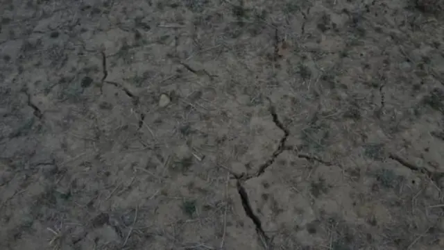 सुक्खा भएको बाँझो जग्गा