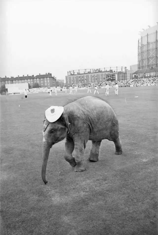WTC Final At The Oval 