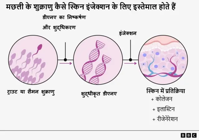 मछली की शुक्राणु से स्किन ट्रीटमेंट का ग्राफ़िक्स