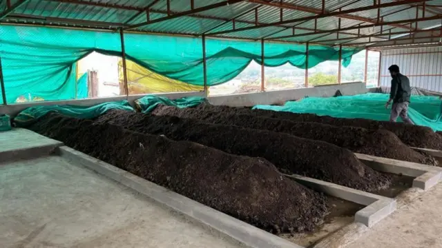 વર્મીકમ્પોસ્ટ પ્લાન્ટ