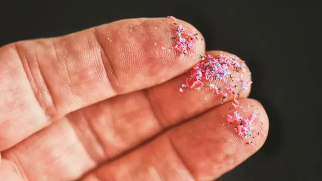 ਮਾਈਕ੍ਰੋਪਲਾਸਟਿਕ