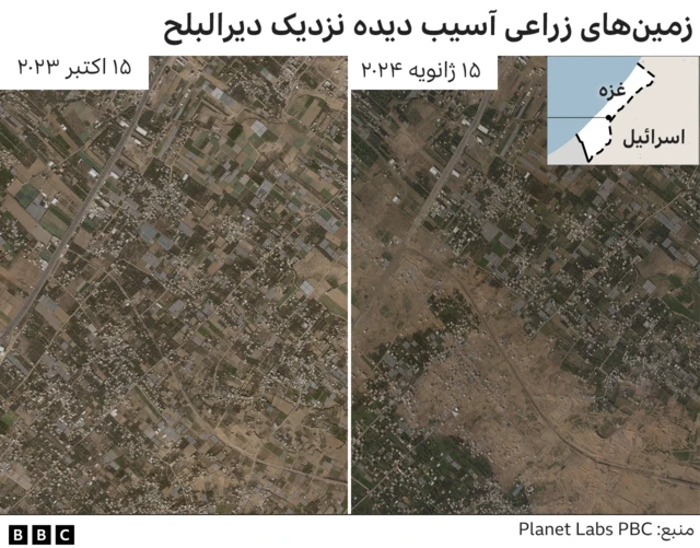 تخریب زمین های زراعی غزه
