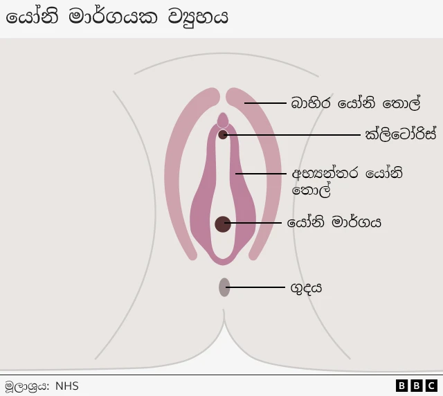 නමුත් සමහර රටවල කාන්තාවන්ට විශ්වාසවන්ත නාරිවේද වෛද්‍යවරයකු හමුවීමේ හැකියාව නොමැත.