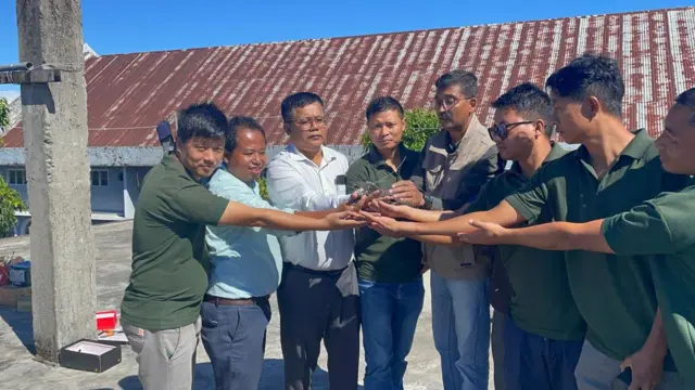 ગુજરાતનાં પક્ષીઓ, આમુર ફાલ્કન, યાયાવર પક્ષી, બીબીસી ગુજરાતી, આફ્રિકા, મણિપુર, પક્ષીઓનો પ્રવાસ