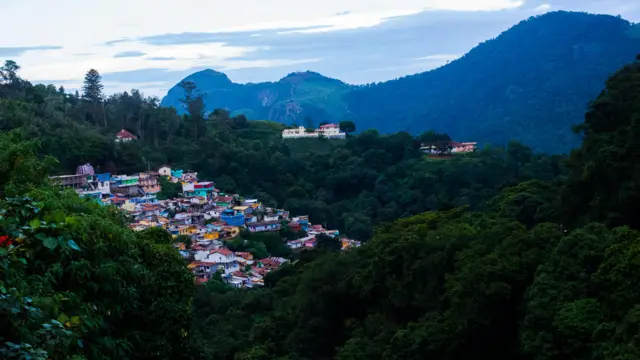 கரிம வர்த்தகம்