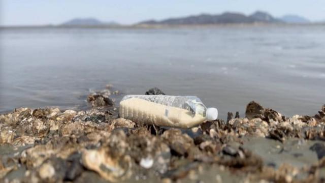 Une bouteille jetée à la mer