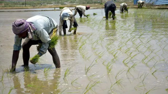 ਪਰਵਾਸੀ ਮਜ਼ਦੂਰ