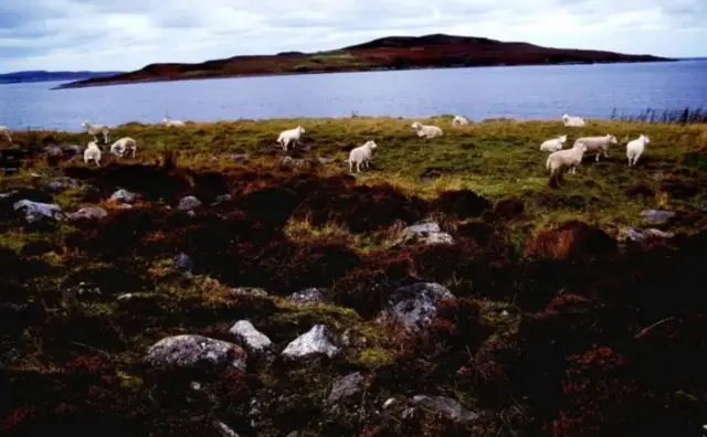 க்ரூனார்ட் என்பது ஸ்காட்லாந்தின் கடற்கரையில் உள்ள ஒரு தீவு.