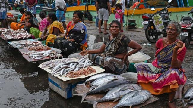 இந்திய பெருங்கடல்: மீன் வளம் முற்றிலும் அழியும் ஆபத்து - தமிழக மீனவர்கள் எதிர்காலம் என்ன ஆகும்?
