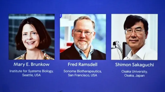 ノーベル賞 講演 生理学・医学 1901-1979 全15冊揃い ノーベル賞 講演 生理学・医学 1901-1979 全15冊揃い ノーベル賞 講演