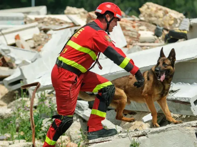 Un rescatista junto a un perro