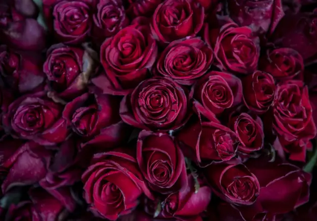 காதலர் வாரம்