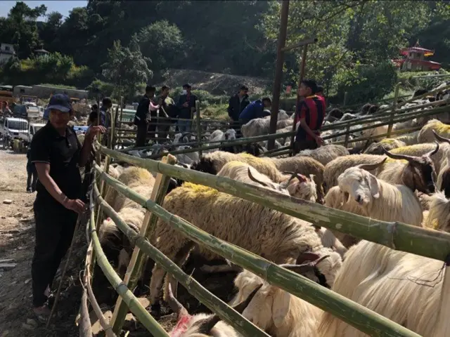 च्याङ्ग्रा