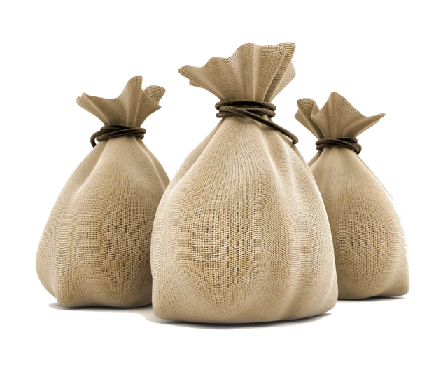 የገንዘብ ከረጢት 