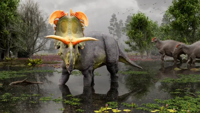 Lokiceratops: New dinosaur with fancy horns discovered - BBC Newsround