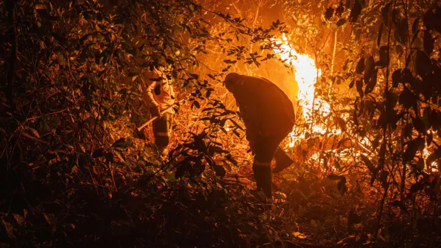 Fogo ao fundo e silhueta de brigadistas no meio da mata