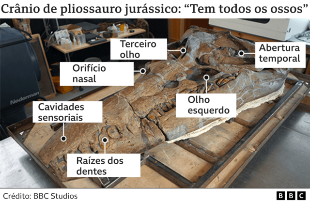 Crâniospaceman aposta f12pliossauro jurássico