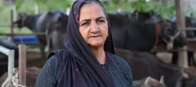 નાનીબહેન