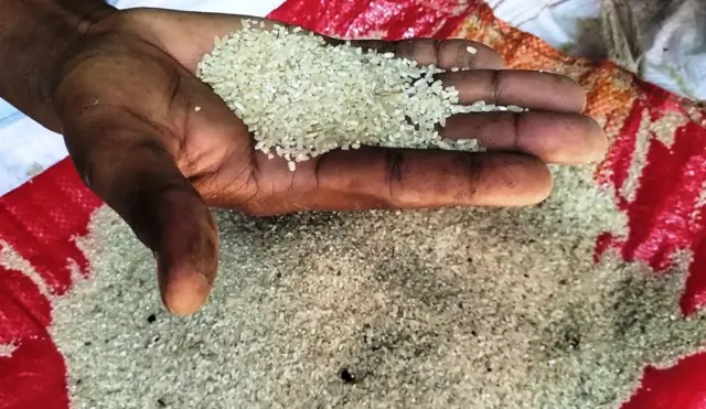 বাঁশের বীজ থেকে উৎপাদিত চাল। 