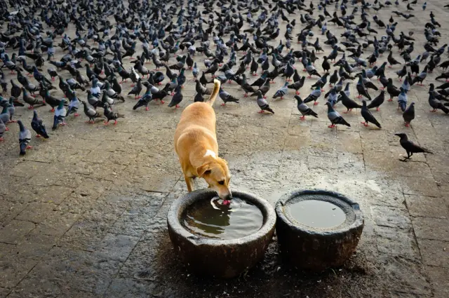 પ્રતીકાત્મક તસવીર