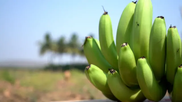 అనంతపురం