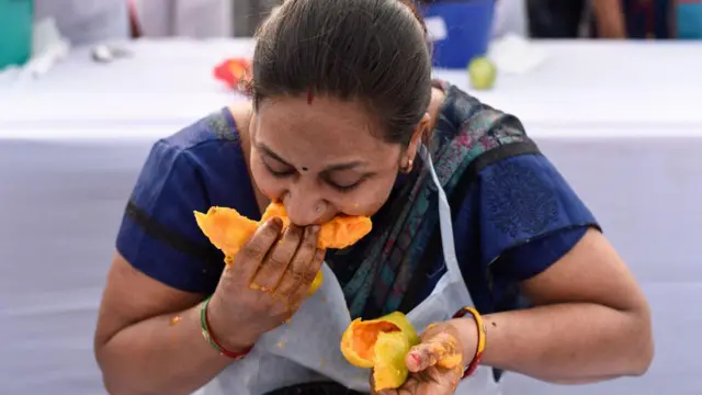 మామిడి పండ్లు