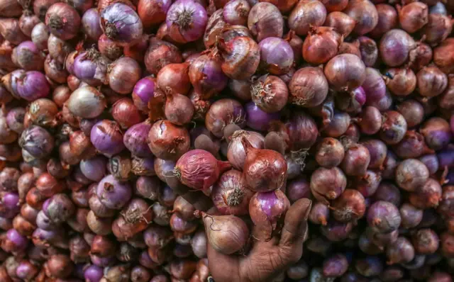 प्याज 