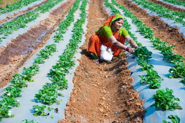 महिला शेतकरी