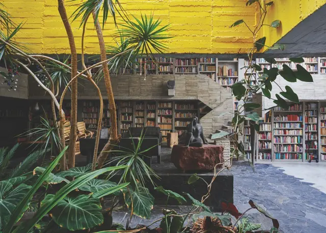 Biblioteca interior con estanterías llenas de libros, plantas tropicales, escalinata de hormigón y techo amarillo iluminado.