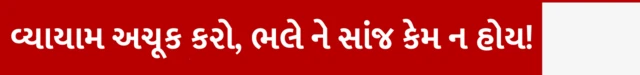 વ્યાયામ અચૂક કરો, ભલે ને સાંજ કેમ ન હોય! ઉંઘ ન આવતી હોય તો શું કરવું, થાક લાગતો હોય તો શું કરવું, કેવી રીતે ઉંઘ અને શરીરને સ્વસ્થ રાખવા, બીબીસી ગુજરાતી સાથે સમજો, બીબીસી ગુજરાતી, બીબીસી ન્યૂઝ ગુજરાતી